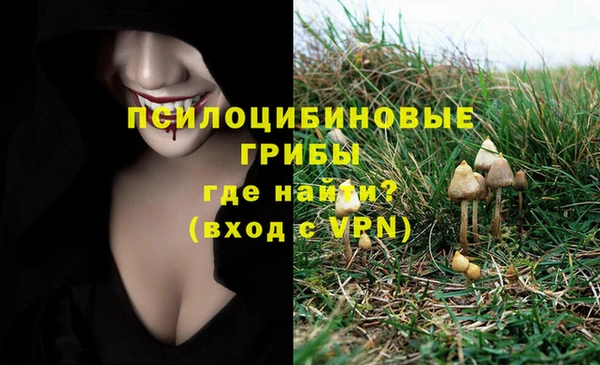 мдпв Каменка