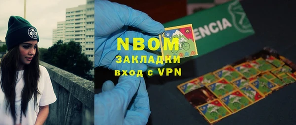 хмурый Каменногорск