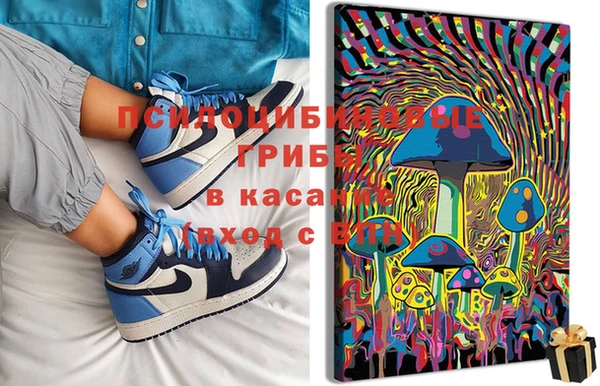 мдпв Каменка