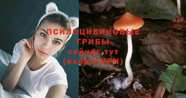 мдпв Каменка