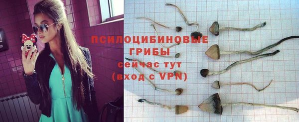 хмурый Каменногорск