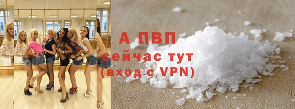 мдпв Каменка