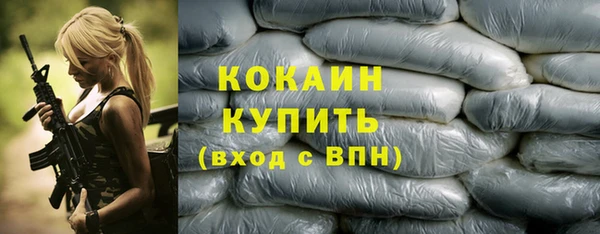 хмурый Каменногорск