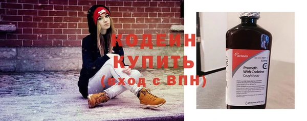 хмурый Бикин