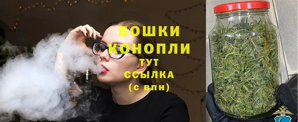 мдпв Каменка
