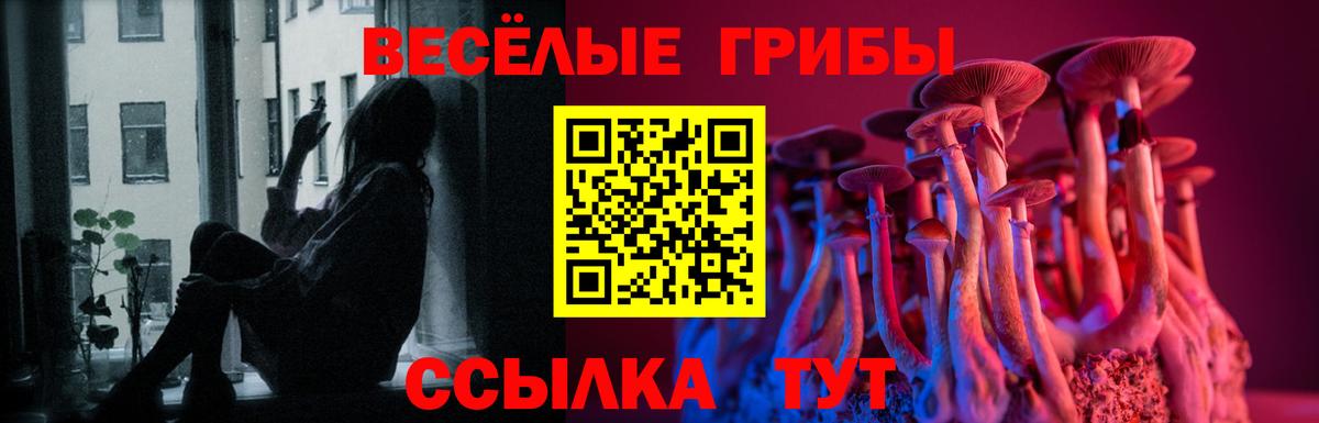 Псилоцибиновые грибы мицелий Кумертау